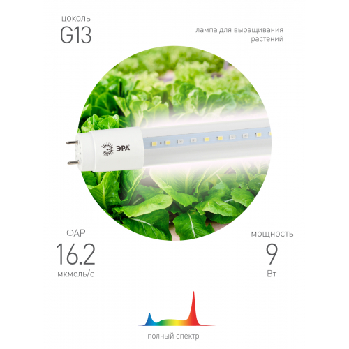 картинка Лампа LED для растений  9Вт Т8 G13  полного спектра ЭРА от магазина Электротехника