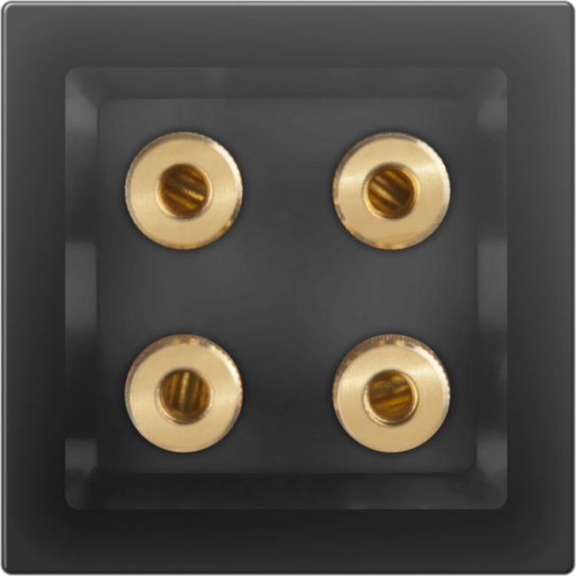 картинка Розетка акустическая х4 серо-коричневая Werkel от магазина Электротехника