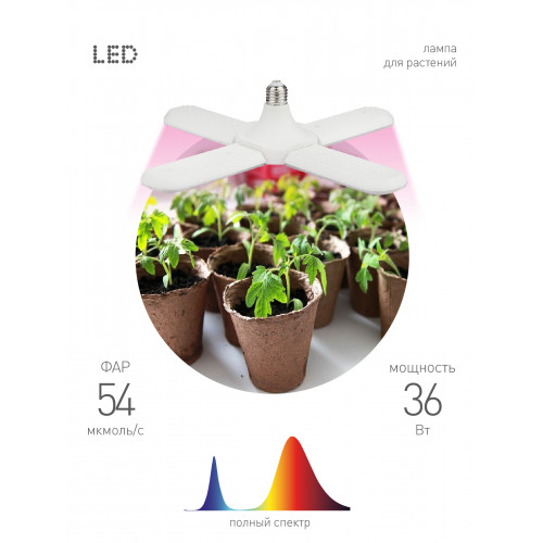 картинка Лампа LED для растений 36Вт E27 4-х лепестковая красно синего спектра ЭРА от магазина Электротехника