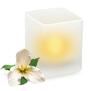 картинка Светодиодная свеча в стакане декоративная В14 ЭРА от магазина Электротехника