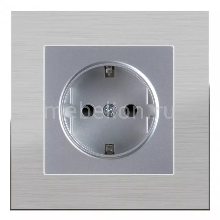 картинка Розетка 1-я с з/к серебряный рифленый Werkel от магазина Электротехника