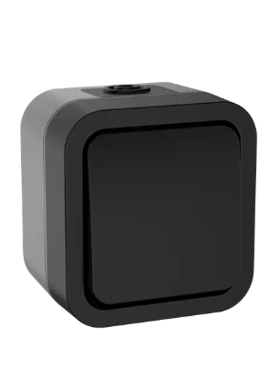 картинка Выключатель 1-кл.10А ОУ IP55 TS111 графит TORS IEK от магазина Электротехника