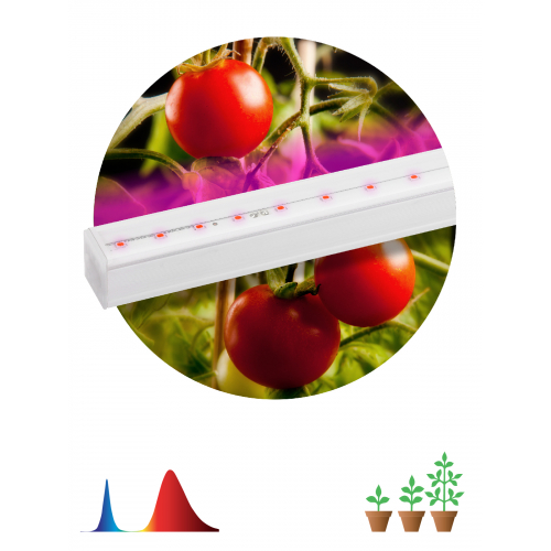 картинка Свет-к д/раст. 14Вт спектр для вегетационного выращивания красно-синий 1200К IP20 873мм ЭРА от магазина Электротехника