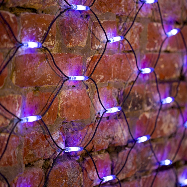 картинка Гирлянда "Сеть"  432 LED 2x3м Белый/Синий на черном проводе Neon-Night !!! от магазина Электротехника