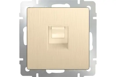 картинка Розетка 1-я. телефонная RG-11 СУ шампань рифленый Werkel от магазина Электротехника