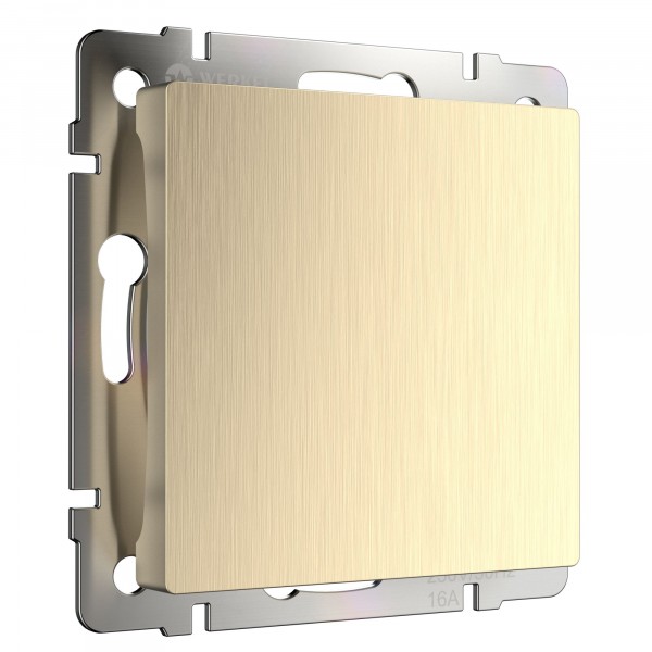 картинка Заглушка СУ шампань рифленый Werkel от магазина Электротехника