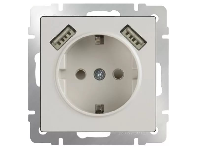 картинка Розетка 1-я 2P+E 16А с USBx2 СУ механизм слоновая кость Werkel от магазина Электротехника