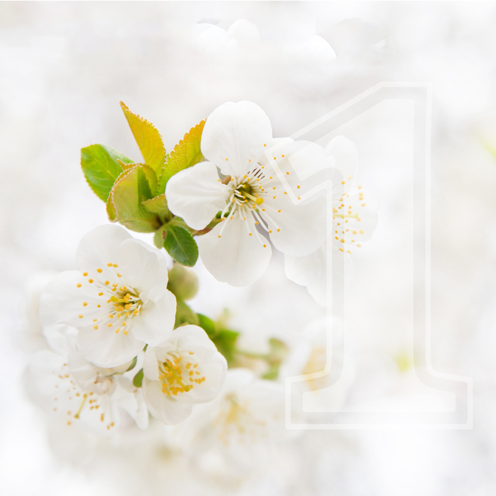 С Днём весны и труда!