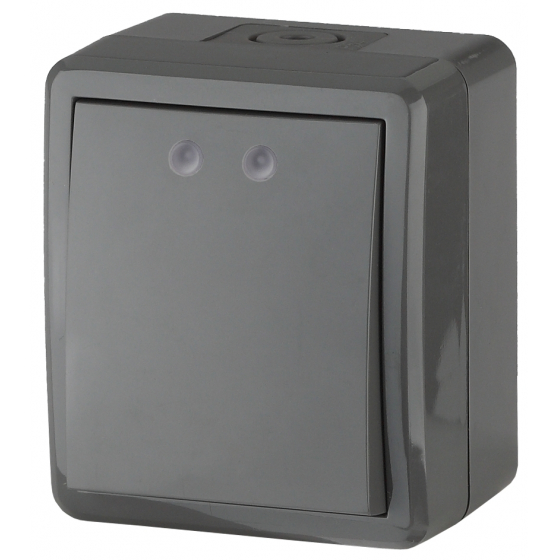 картинка Выключатель 1-кл.  IP54, 10А 250В, ОУ, серый, Эксперт ЭРА  от магазина Электротехника