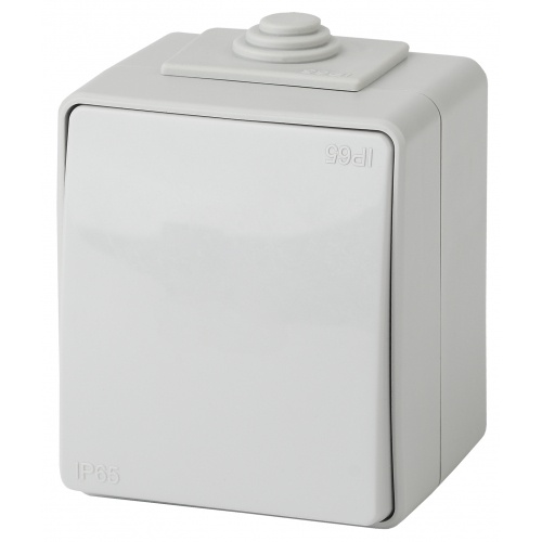 картинка Переключатель 1-кл. IP65  10А-250В  ОУ серый Эксперт ЭРА от магазина Электротехника