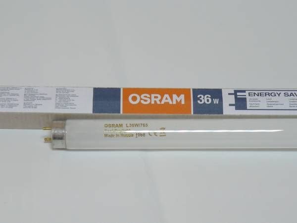 картинка Лампа люм. ЛЛ 1200мм 36Вт d26 Т8 G13 дневн. св. OSRAM от магазина Электротехника