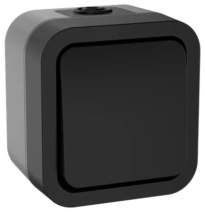 картинка Переключатель 1-кл 10А IP55 TS101 графит TORS IEK от магазина Электротехника