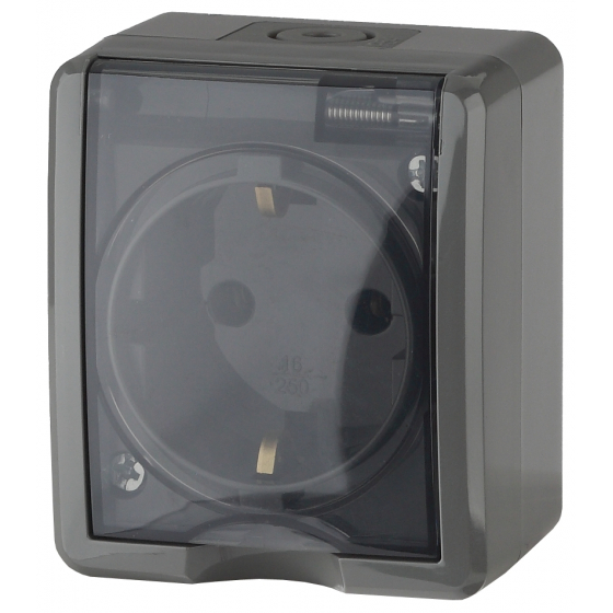картинка Розетка 1-я 2Р+Е с крышкой IP54, 16А 250В, ОУ, серый, Эксперт ЭРА  от магазина Электротехника