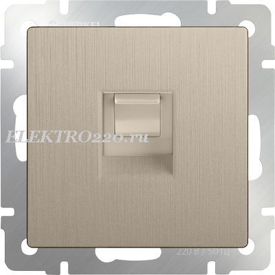 картинка Розетка 1-я. компьтерная RG-45 СУ шампань рифленый Werkel от магазина Электротехника