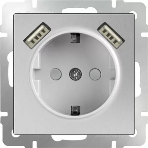 картинка Розетка 1-я. 16А СУ с заземлением шторками и USBx2 серебряная Werkel от магазина Электротехника