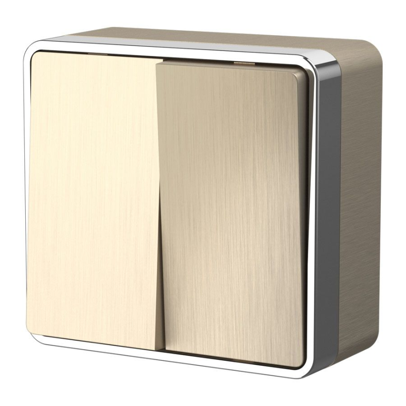 картинка Выключатель 2-кл. 10А ОУ шампань рифленый Gallant Werkel от магазина Электротехника