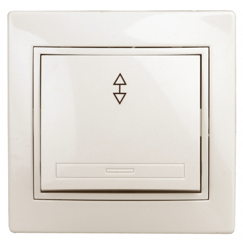 картинка Переключатель 1-кл. 10А СУ сл. кость Intro Plano  от магазина Электротехника